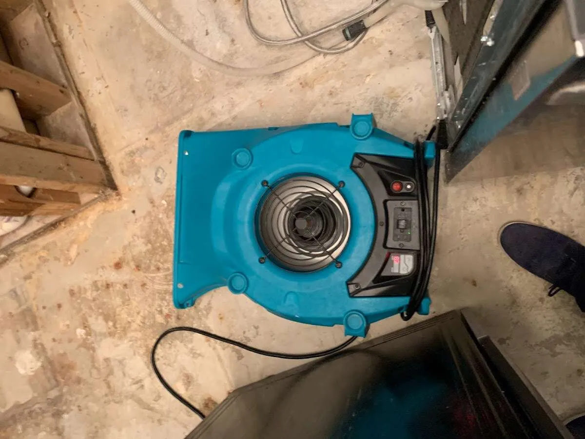 Air mover drying equipment for Mold Remediation & Removal in Bayou Blue